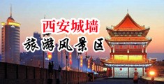 xvideos跳蛋中国陕西-西安城墙旅游风景区