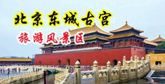 插深点视频啊中国北京-东城古宫旅游风景区